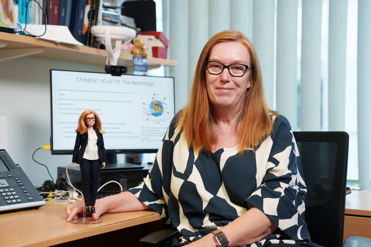 professor barbie